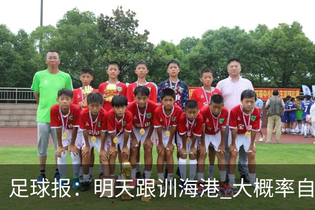 足球报：明天跟训海港 大概率自由身加盟 外援要补强