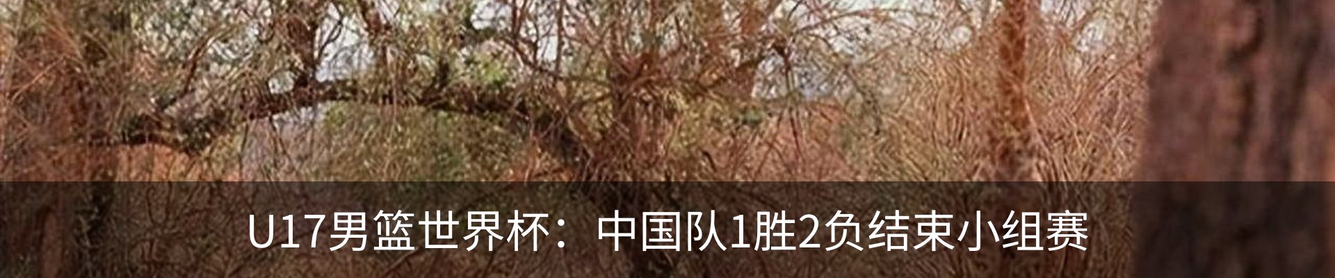 新闻中心